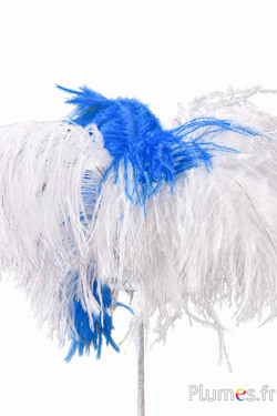 Pluim struisvogel - 4 veren, hoogte 20-24 cm - crème-turquoise